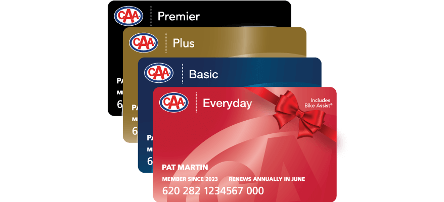 A stack of CAA membership cards with gift bow.