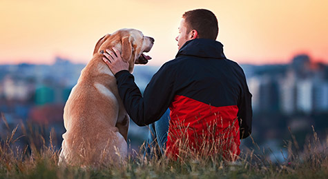 Man with a dog in the evening.