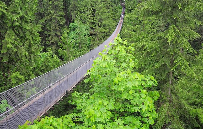 Capilano Bridge, a long suspension bridge in North Vancouver.
