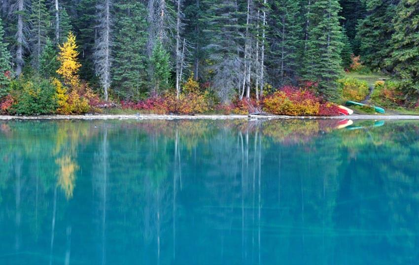 Fall colors in Emerald Lake in Yoho National Park, British Columbia