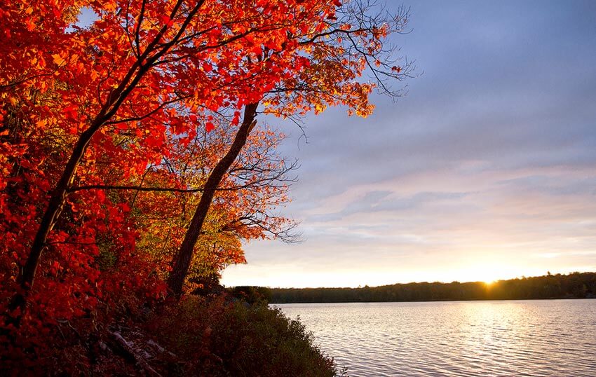 Fall colours in Fairholme Lake, Muskoka