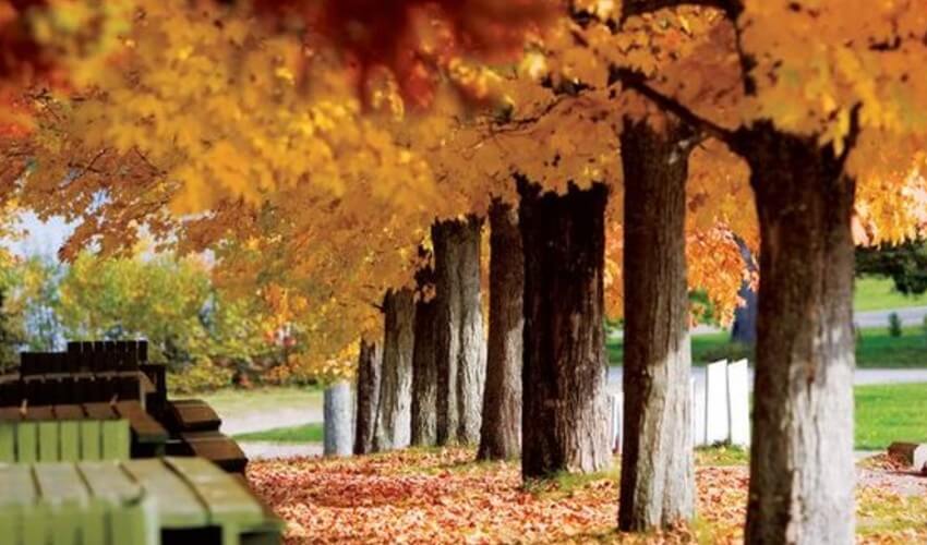 Acadian Fall Trail in New Brunswick with beautiful orange foliage.