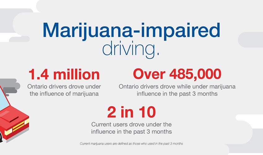 Infographic about marijuana-impaired driving. 1.4 million Ontario drivers drove under the influence of marijuana. Over 485,000 Ontario drivers drove while under marijuana influence in the past 3 months. 2 in 10 current users drove under the influence in the past 3 months. Current marijuana users are defined as those who used in the past 3 months.