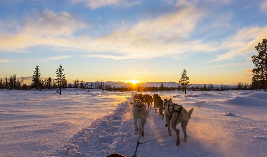 Dog sledding, Nunavut