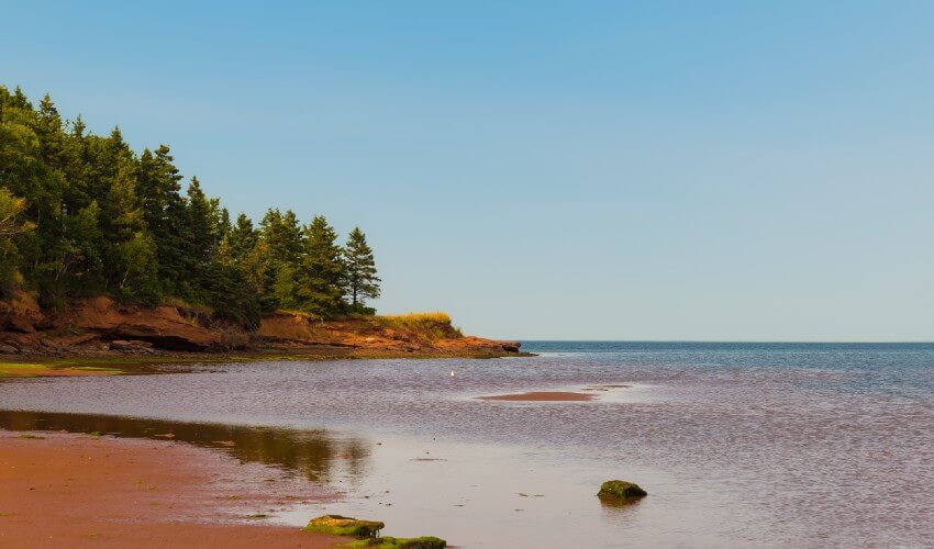 Sandbanks beach, Prince Edward County.