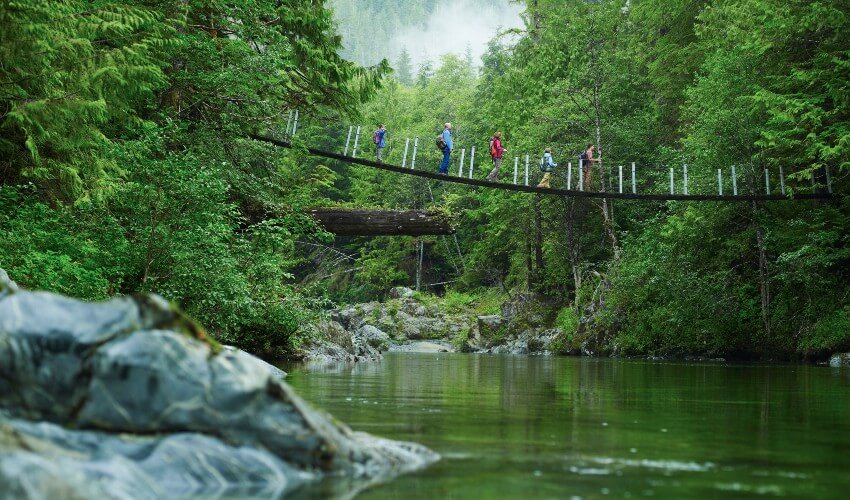 Group of hikers on a suspension bridge.
