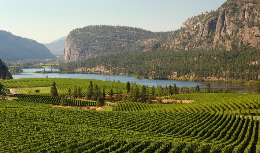 Wine valley, Okanagan.