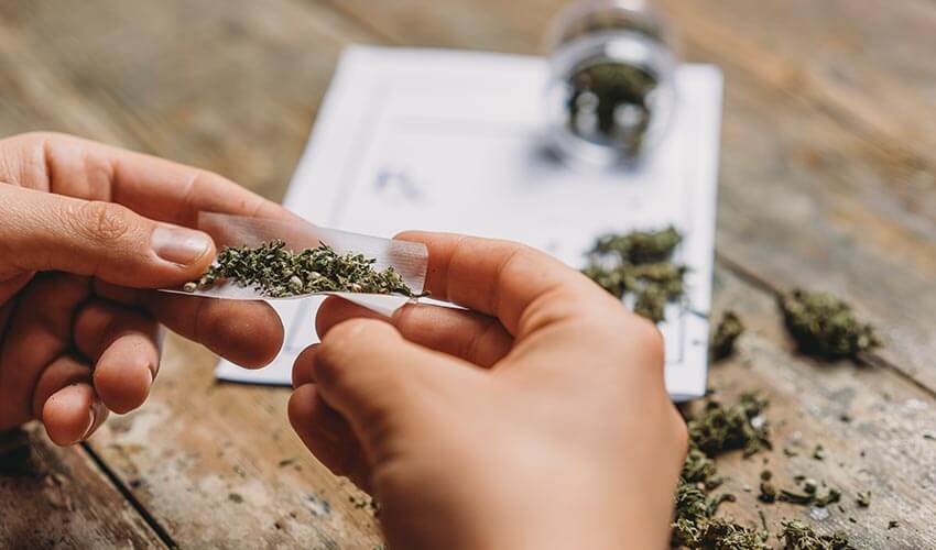 Young adult man rolling a marijuana joint.