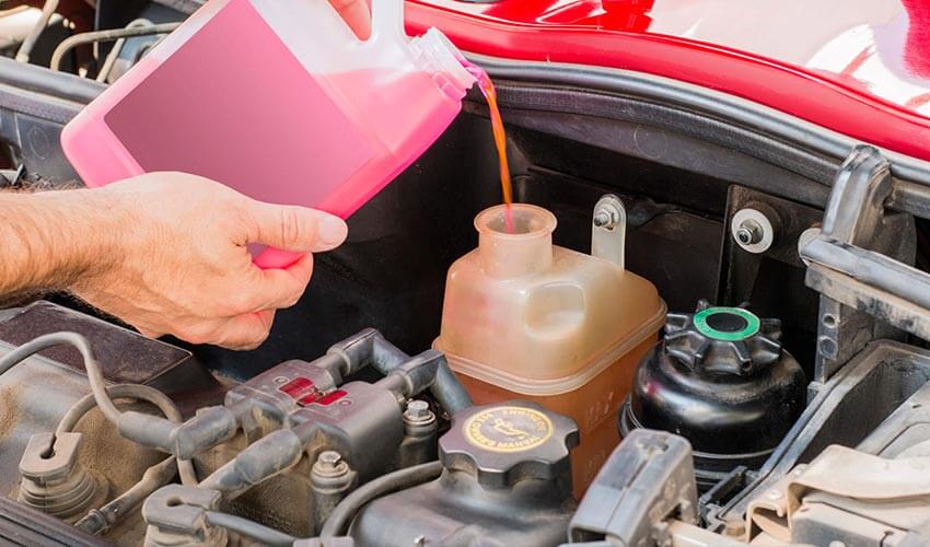 Person pouring a pink coloured coolant into coolant reservoir in car
