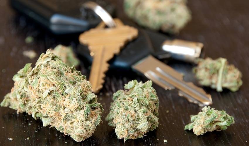 Car keys and cannabis on table.
