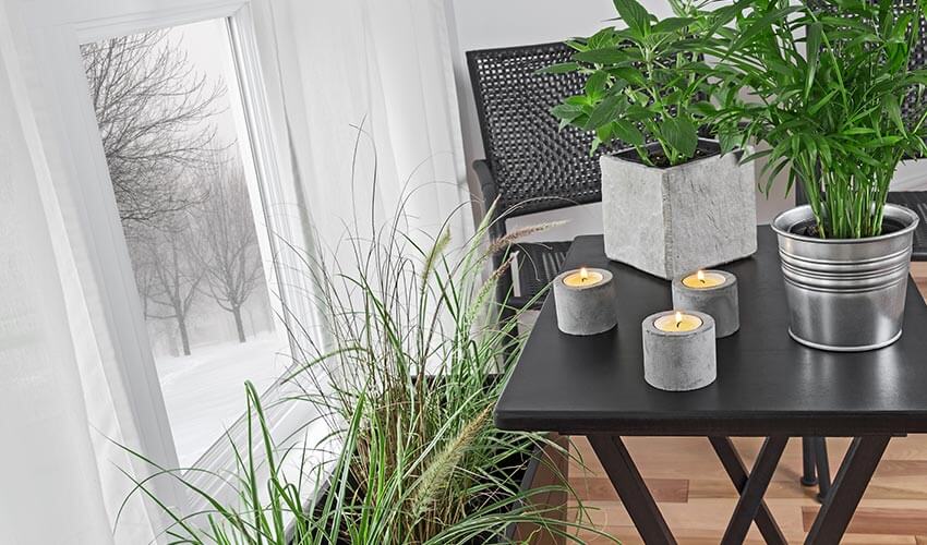 Potted plants and candles on a table next to window in a modern home.