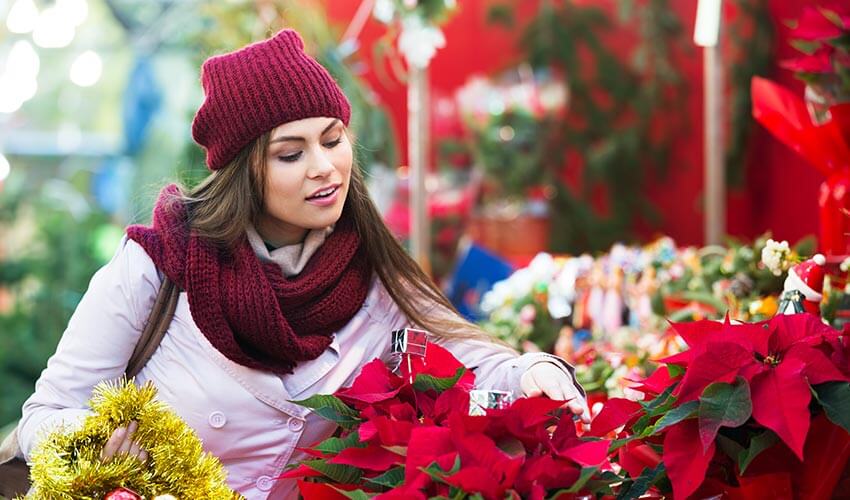 A woman buying poinsettias from a flower market.
