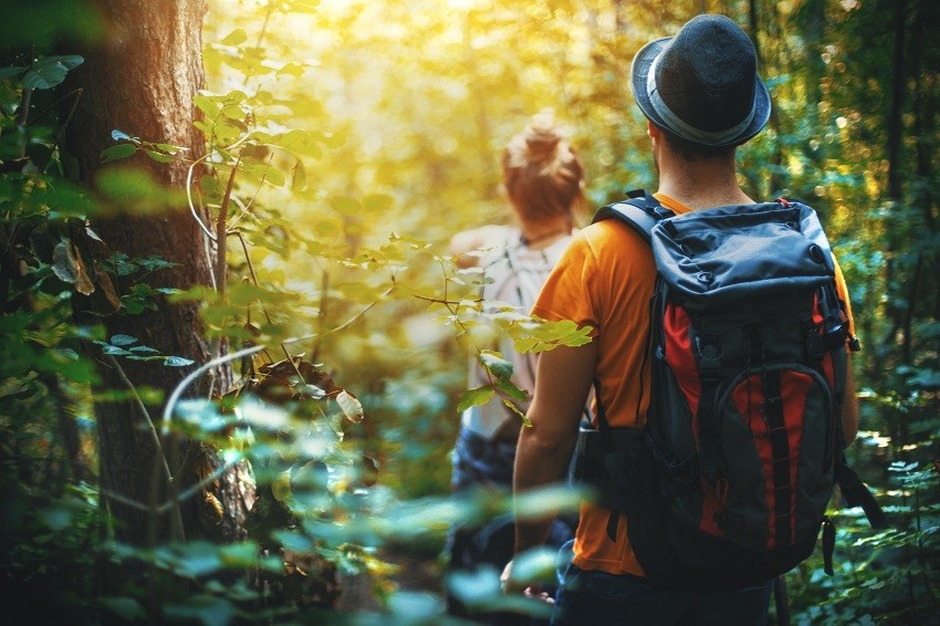 Closeup rear view of a man and woman hiking through a forest on a summer afternoon. There's sunlight coming through lush foliage in the background.