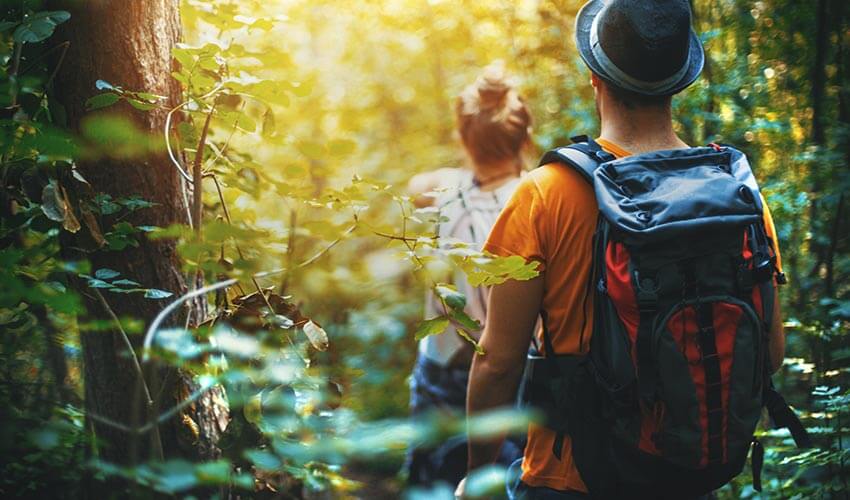 Couple hiking through a forest.