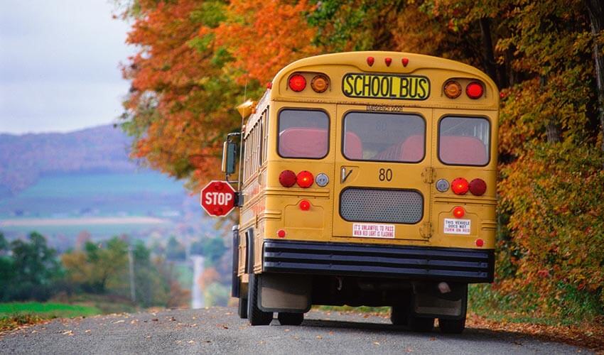 A school bus stopped on side of road.