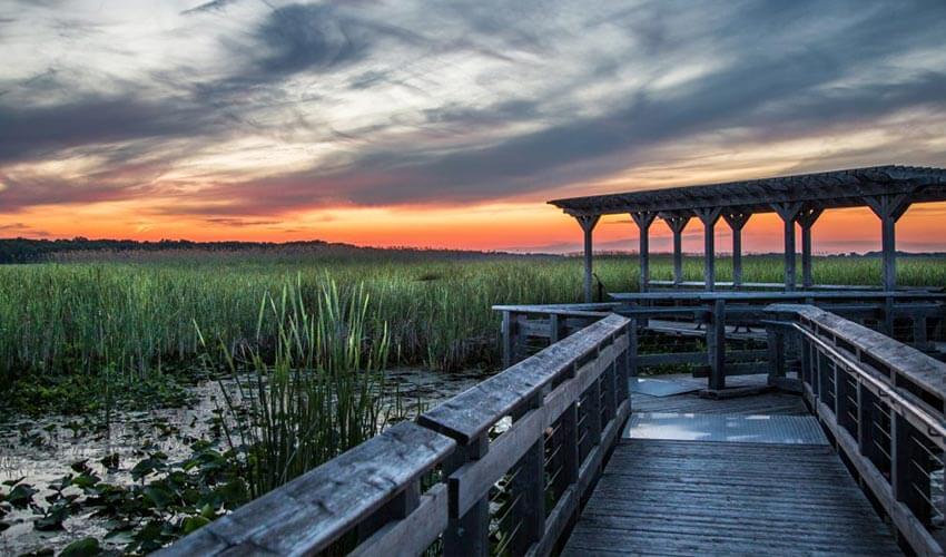 A beautiful sunset captured from the marsh boardwalk.
