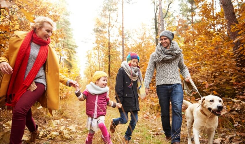 Family of four and a dog enjoying a fall walk in the forest.