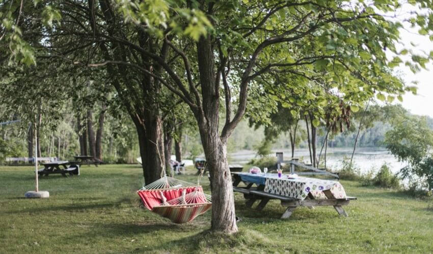 Red hammock and a picnic table in a park.