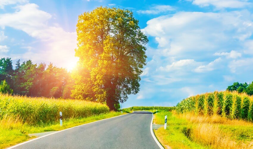 Rural winding road at sunset.