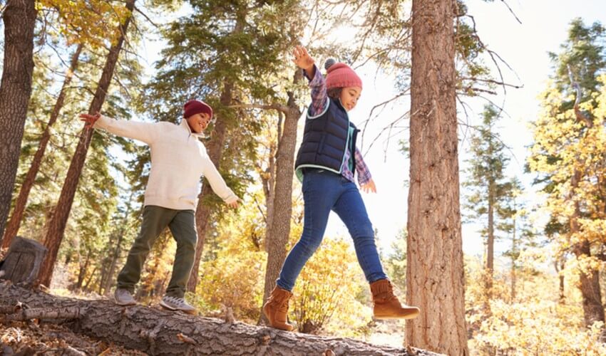Children having fun balancing on a log in the forest.