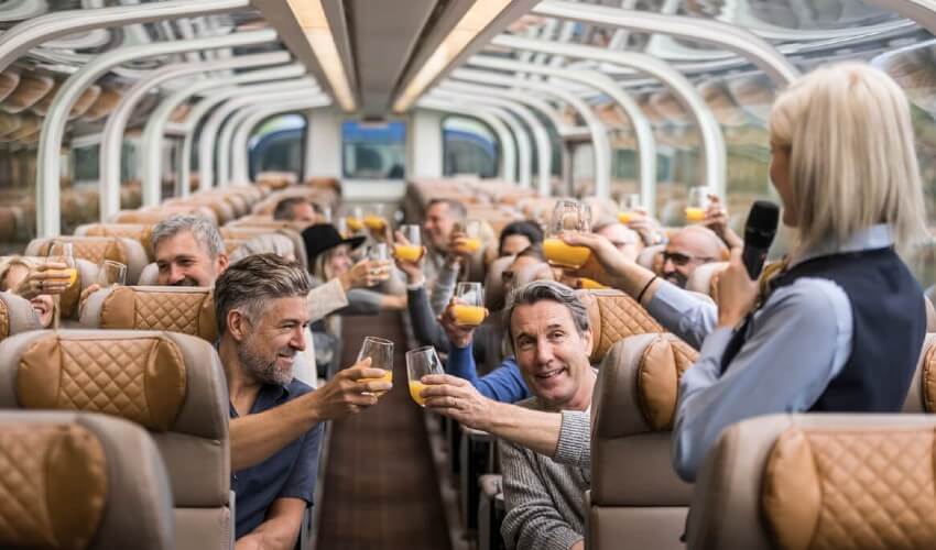 People on a train tour.