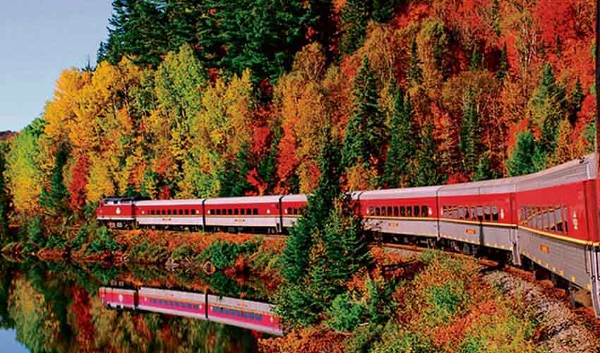 Agawa Canyon train travelling past autumn foliage.