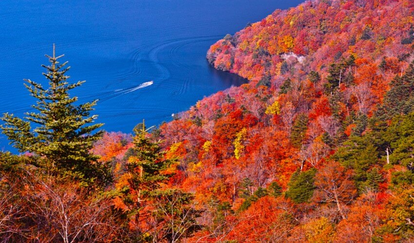 Scenic view of a lake surrounded by autumn trees.