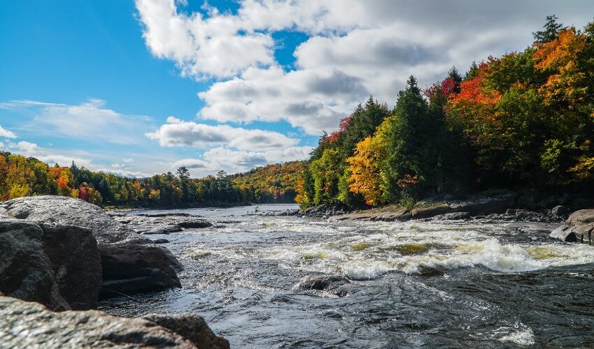 Scenic view of a river against a blue sky during autumn.
