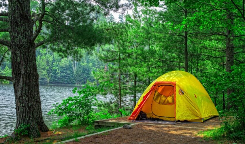 A cozy campsite with a yellow tent in Lake of Woods.