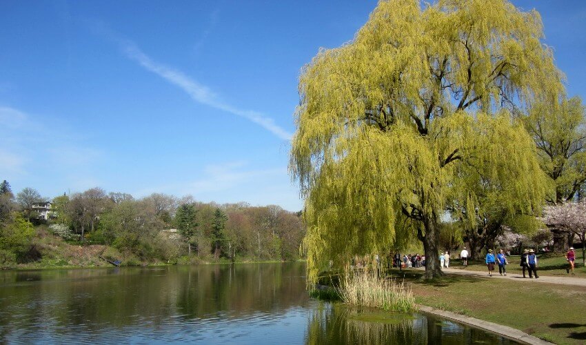 Grenadier Pond in High, Park Toronto.