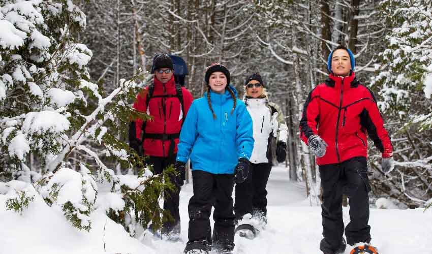 Family of four snowshoeing on a forested trail.