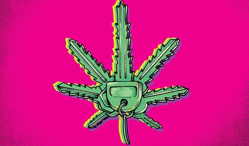 An illustration of a cannabis leaf and car key on a bright pink background.