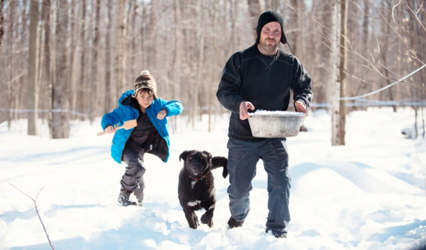 Dad holding a bucket of snow running with his son and dog outdoors