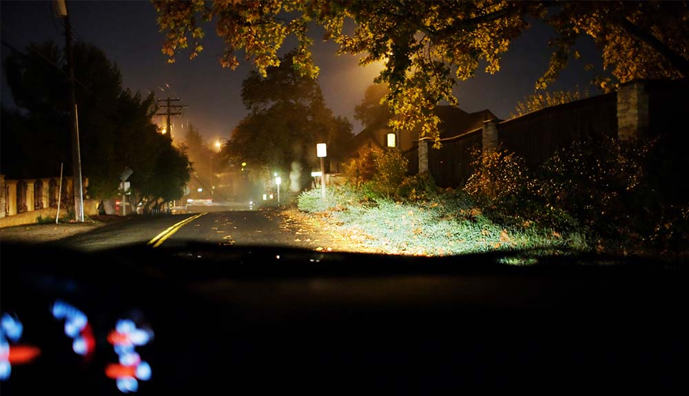 Autumn leaves blowing across a dark road in front of a car's headlights