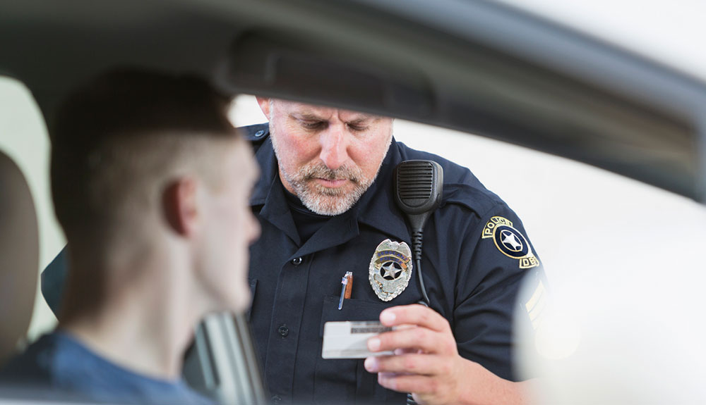 What You Need to Know About Cannabis Laws