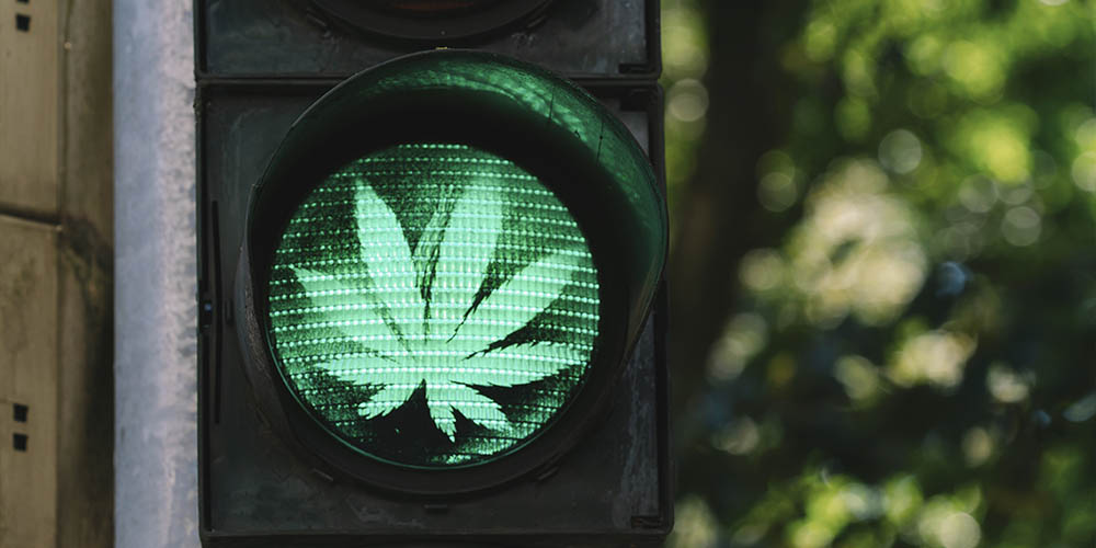 A black traffic light illuminating a green leaf cannabis symbol. 