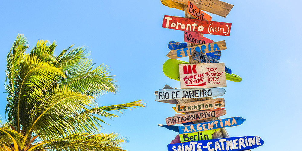 The top of a palm tree next to a post with multiple signs featuring many popular destinations