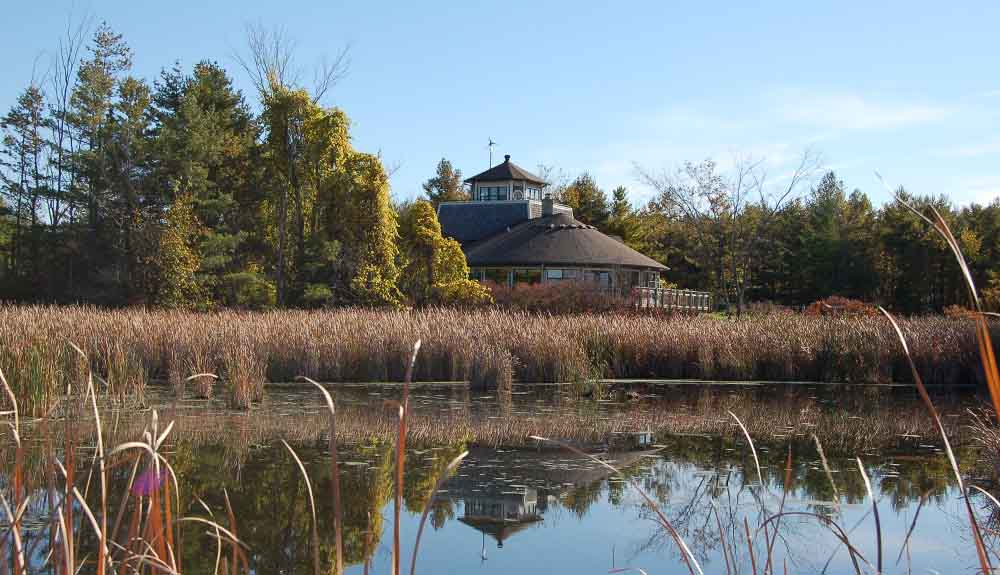 A large pond with a conservation house behind it surrounded by trees