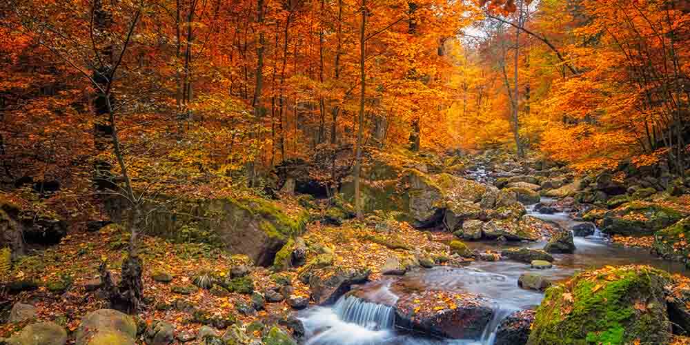 Beautiful river and tiny waterfall surrounded by trees with red leaves in the fall