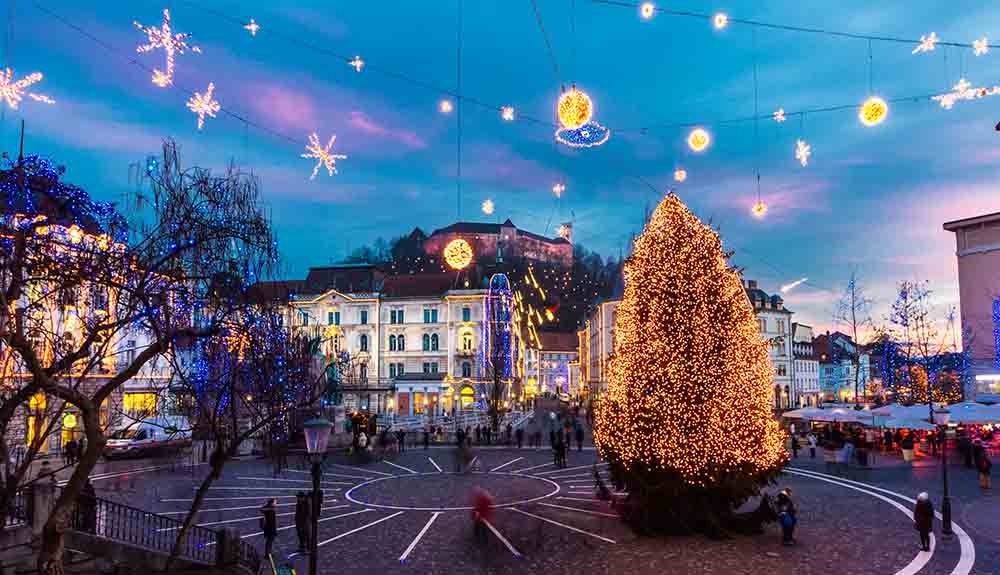 A tree covered in lights in Ljubljana, Slovenia with strings of lights hanging in the foreground