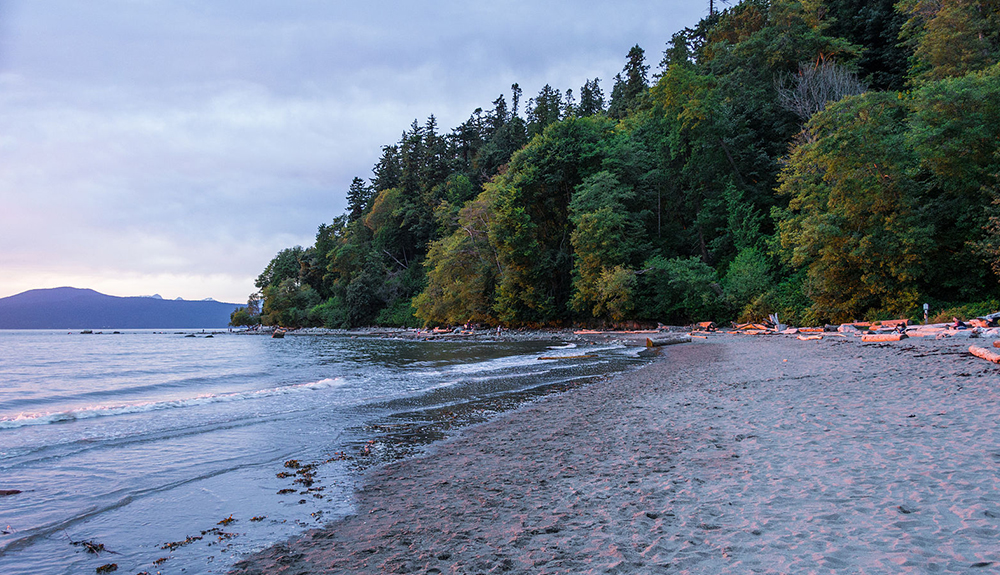Trees stand at the end of a stretch of sand by the water at Wreck Beach