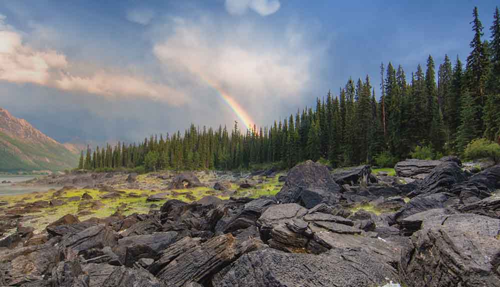 Rainbow from the sky shoots into a forest of trees at Medicine Lake