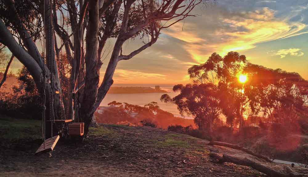 La Jolla swings at sunset
