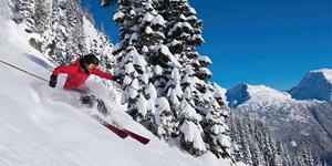 Person in red jacket skiing through powder past snow-covered pine trees at ski resort in Canada