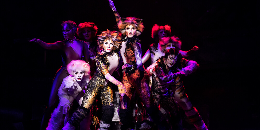 A group of cast members from the musical CATS on stage lit by red and purple lighting
