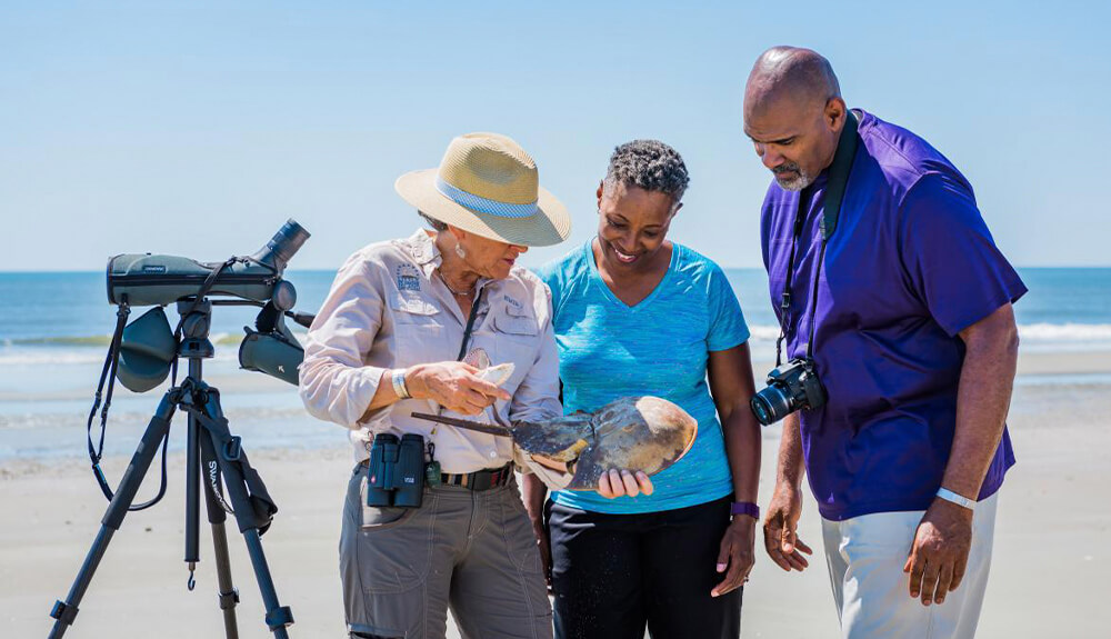 Learning about local marine life with a naturalist on Little St. Simons Island