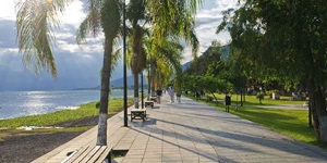 A walkway showcasing palm trees and benches along the coast of Ajijic in Mexico