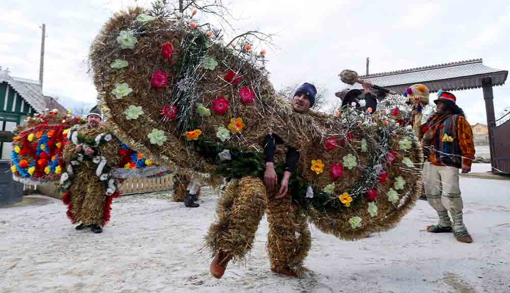 A person dressed in an elaborate costume made with grass and flowers stands in the street