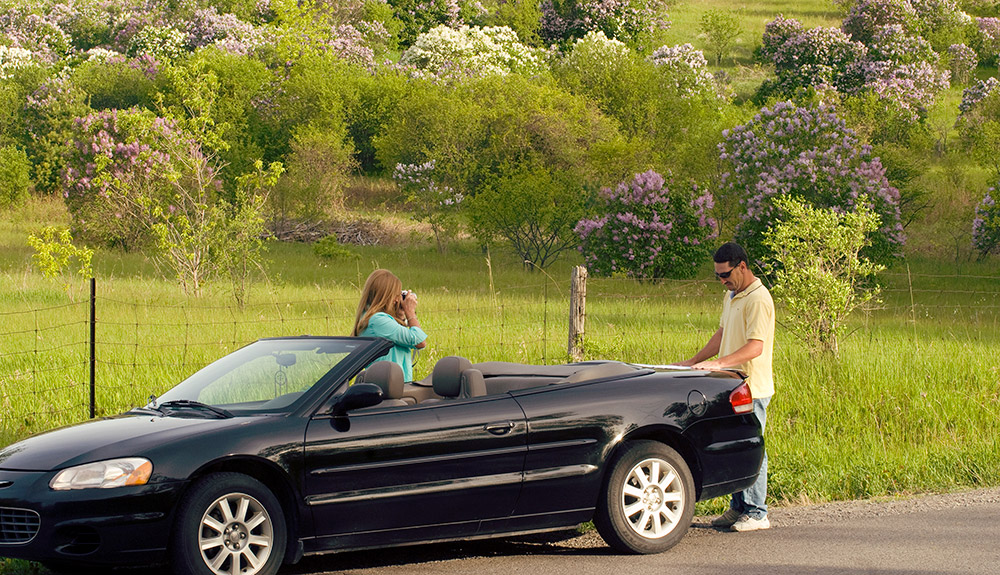 Travellers stop at the side of the road to take pictures and check a map in the Kawarthas Northumberland region of Ontario.