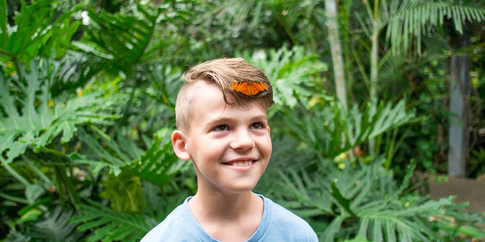 A boy with a butterfly on his head.